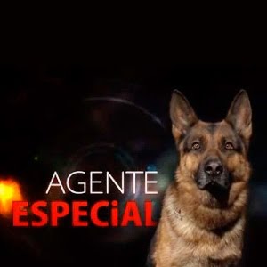 agente_especial_telemadrid